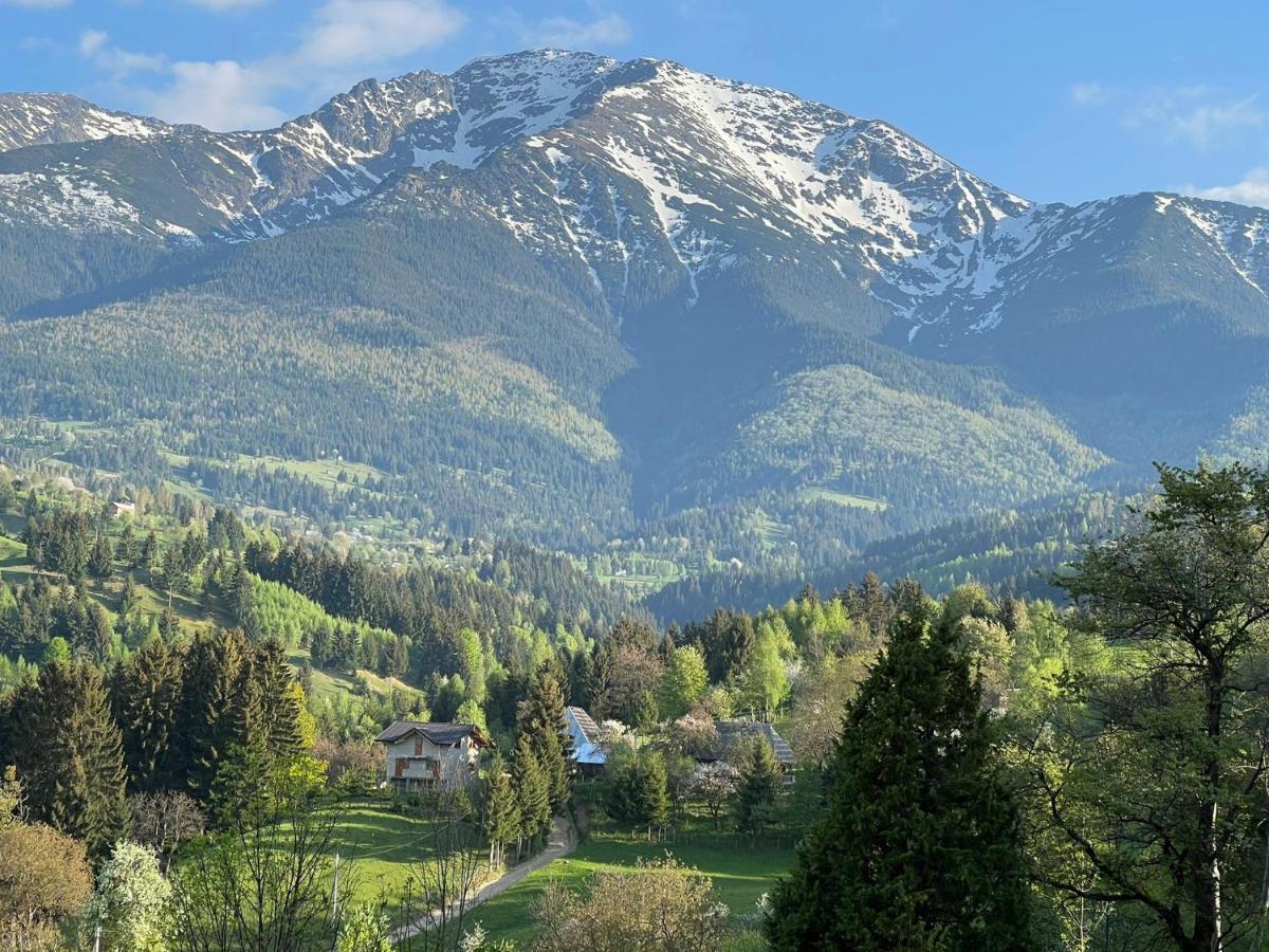 La Bujda Lu Mosu Villa Borşa Eksteriør billede
