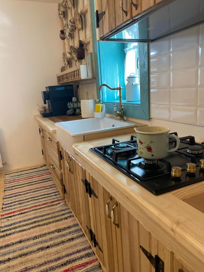 La Bujda Lu Mosu Villa Borşa Eksteriør billede
