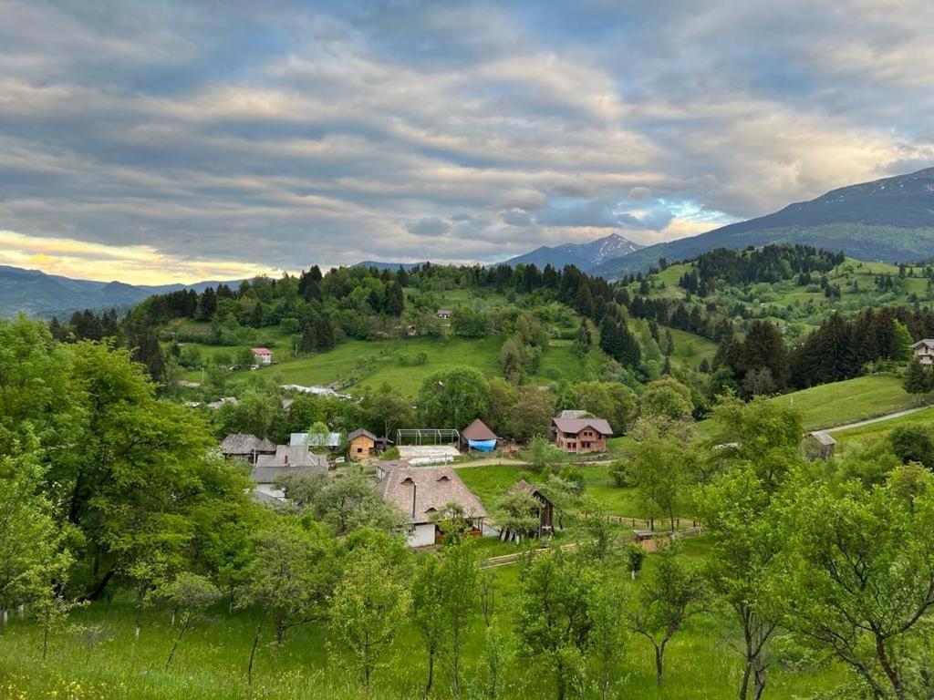 La Bujda Lu Mosu Villa Borşa Eksteriør billede