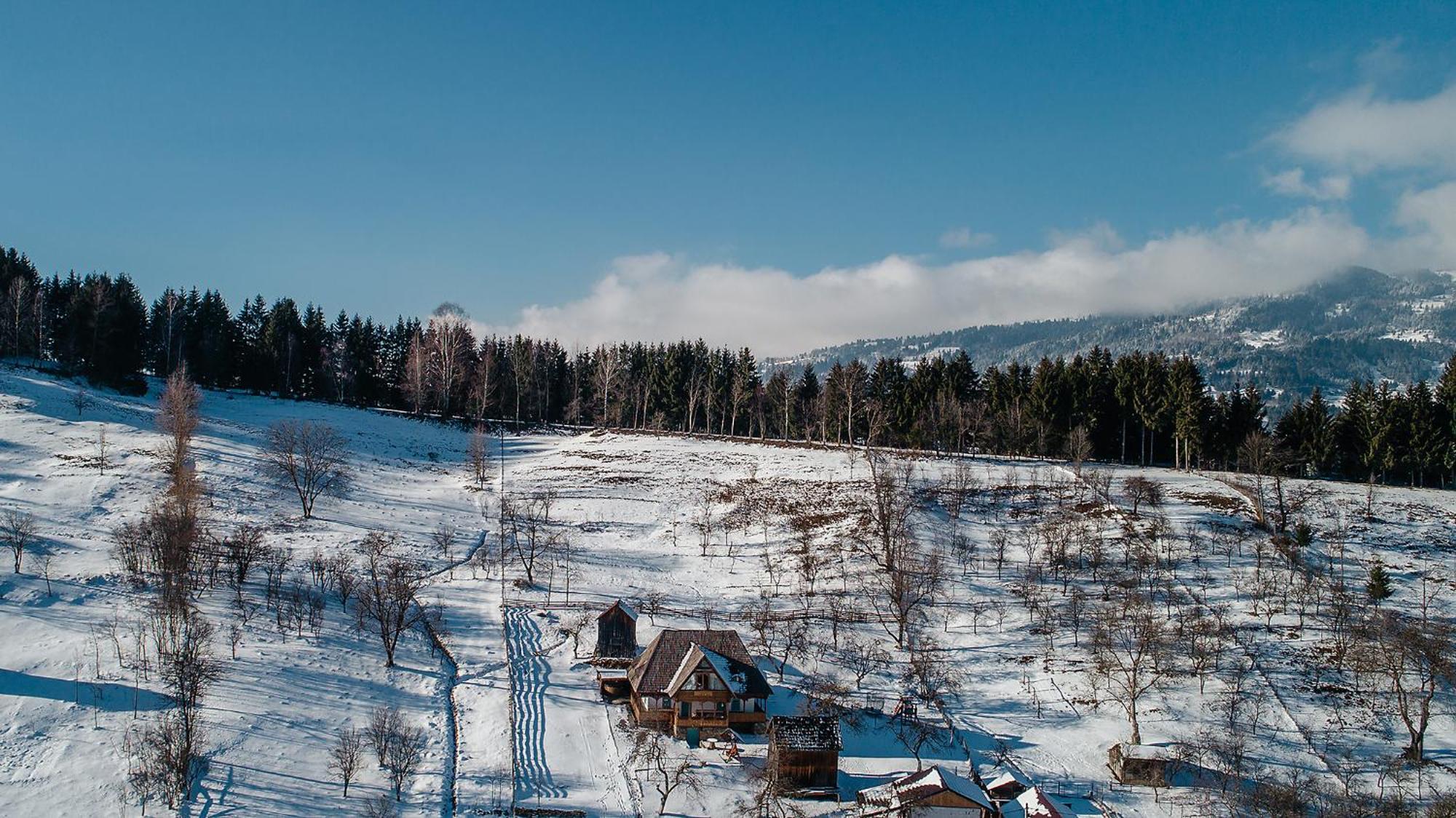 La Bujda Lu Mosu Villa Borşa Eksteriør billede